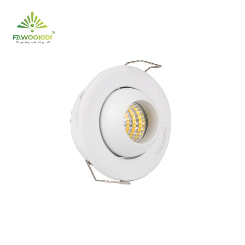 Fawookidi Việt Nam