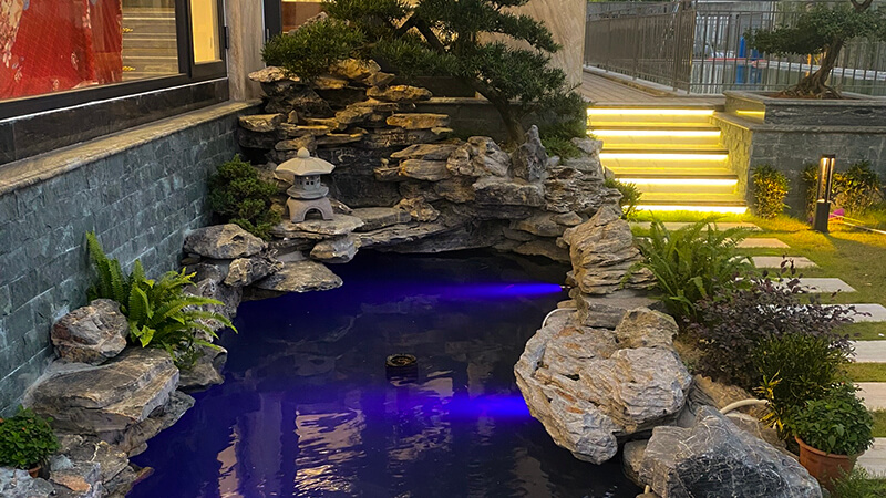 Thiết kế chiếu sáng bể cá sân vườn