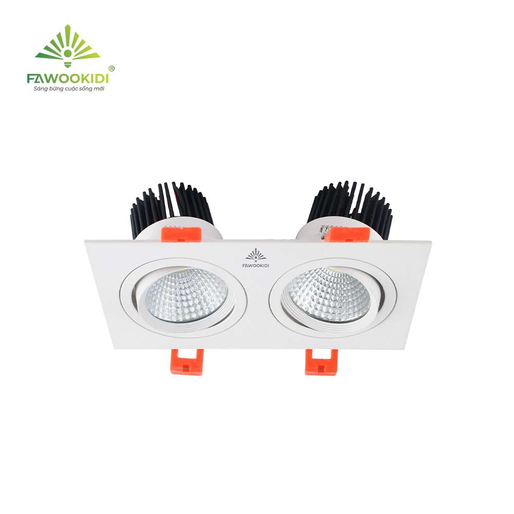 Đèn rọi âm trần 2 bóng FK-SLD04