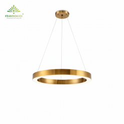 Đèn thả trần 1 vòng tròn Golden DT5116-1 Fawookidi