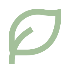 Fawookidi Việt Nam