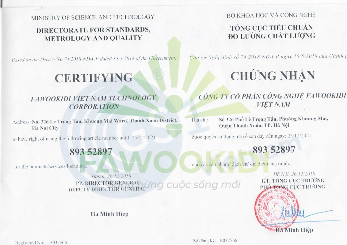 Fawookidi Việt Nam