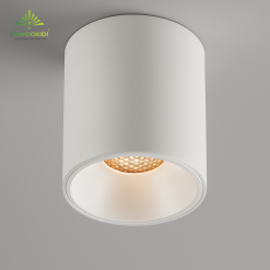 Đèn downlight gắn nổi FK-DOR010F công suất 10W