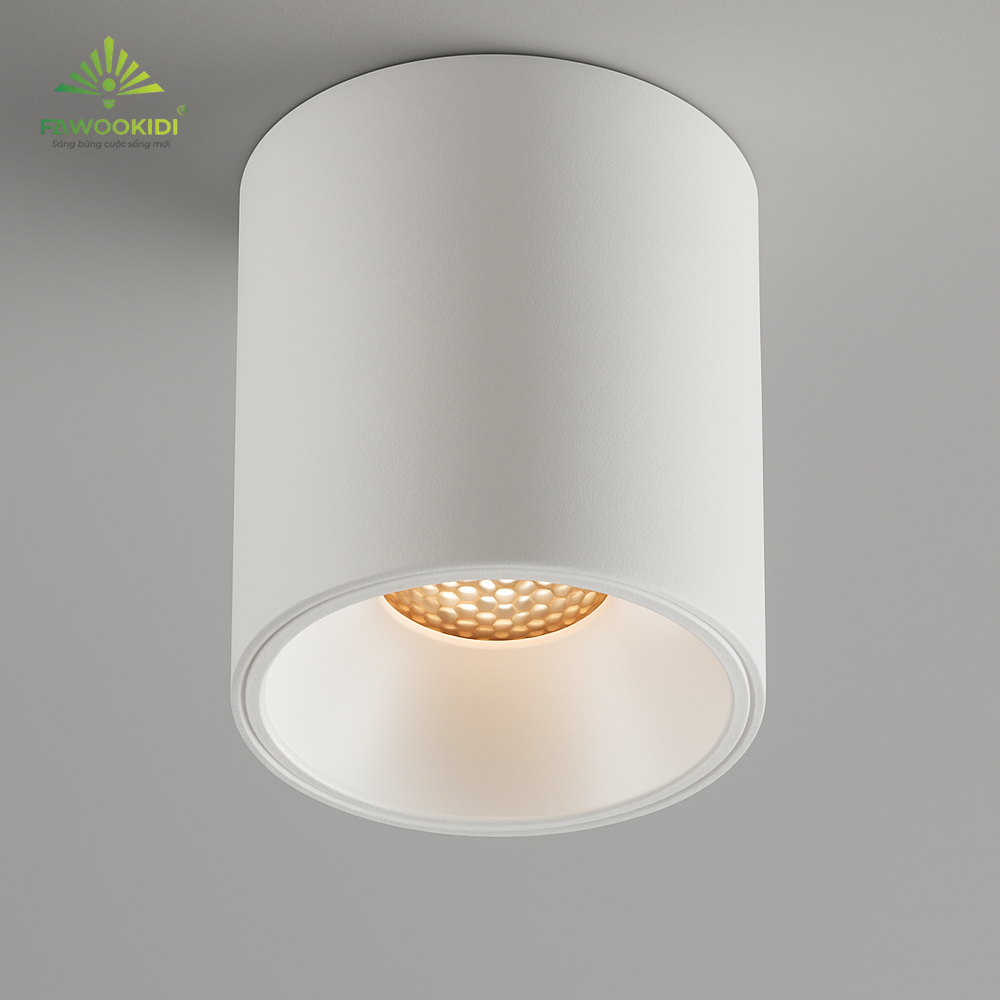 Đèn downlight gắn nổi FK-DOR010F công suất 10W